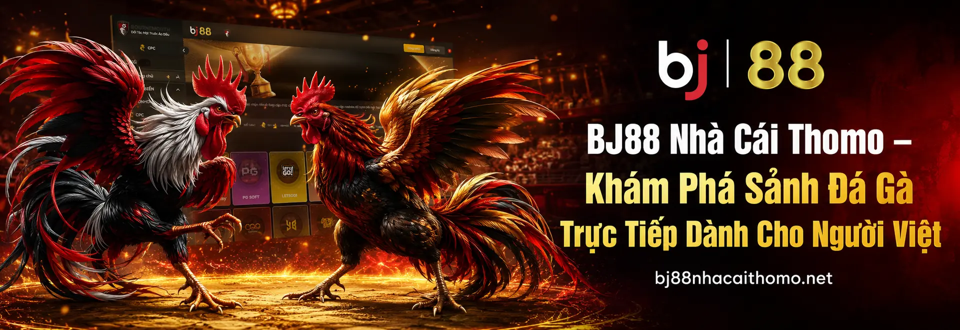 BJ88 Nhà Cái Thomo – Khám Phá Sảnh Đá Gà Trực Tiếp Dành Cho Người Việt