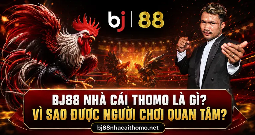 BJ88 Nhà Cái Thomo Là Gì? Đá Gà & Ưu Đãi BJ88